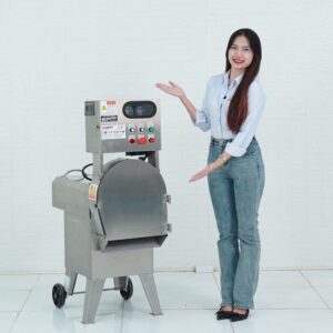 Máy thái rau củ quả công nghiệp 620W MG-805 ava1 may thai rau cu qua cong nghiep 620w mg 805