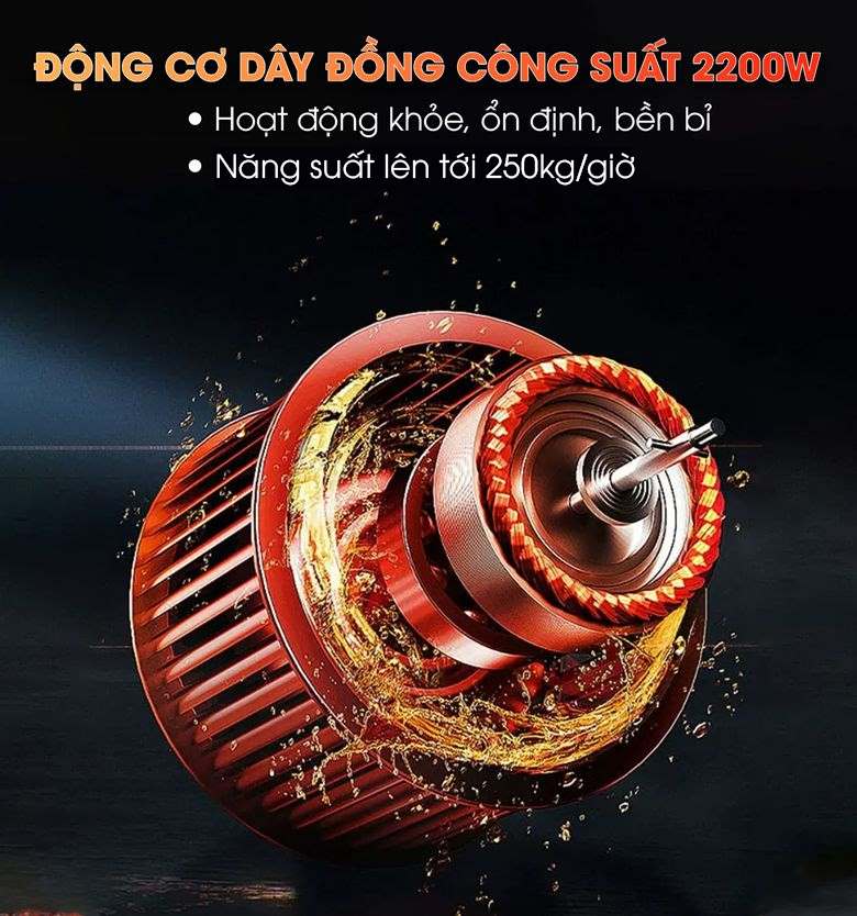 Động cơ máy thái thịt tươi sống DQ-8N công suất cao
