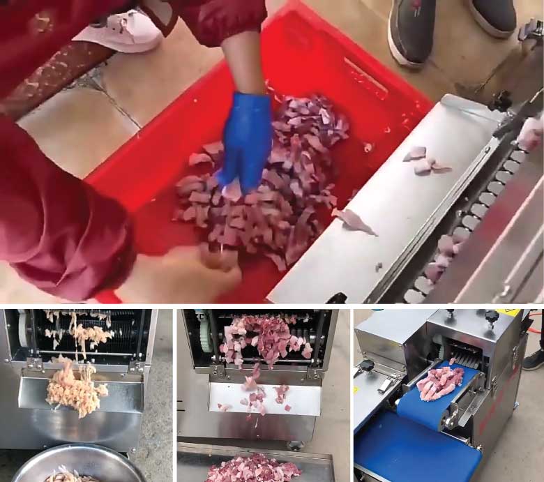 Máy thái thịt công nghiệp NS-XR-QD600 Hình ảnh máy thái thịt thực tế